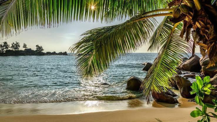 Baga Beach Prime Экстерьер фото